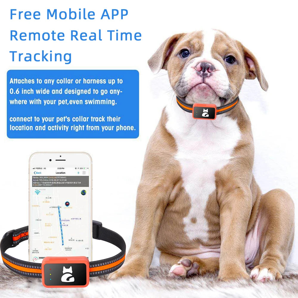 4G Pet GPS Tracker Collar Waterproof Dog Cat Locator with Health Monitor,Geo-Fence,Cold Resistant For iOS Android