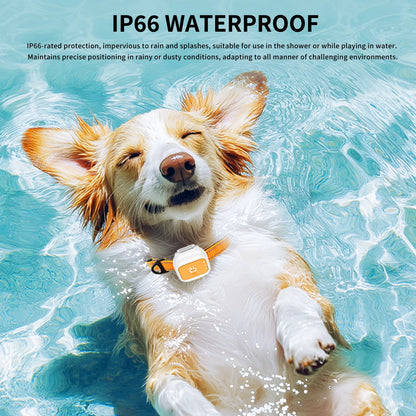 4G GPS Precision Positioning For Pets Dogs Cats Realtime GPS Tracking Electronic fence App Based Wireless Dog Fence Collar